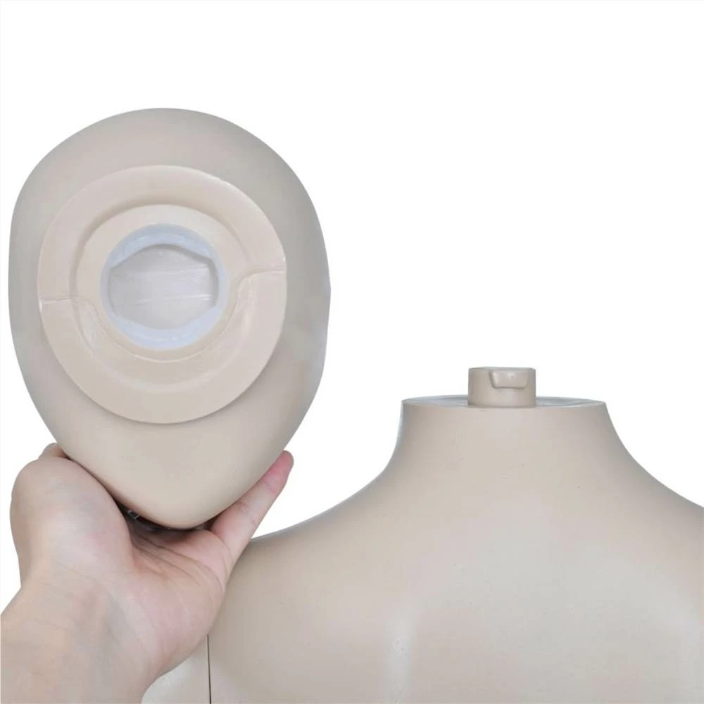 Best deal π Mannequin π© Women Round Head π₯ - Image 4