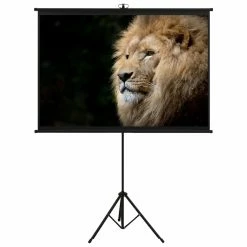 New ⭐ Projection Screen with Tripod 57" 1:1 🛒